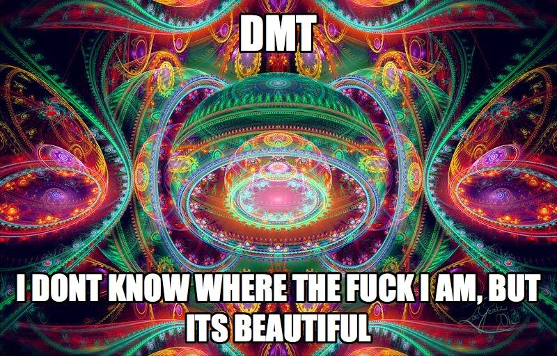 DMT and the Unveiling of the Illusion