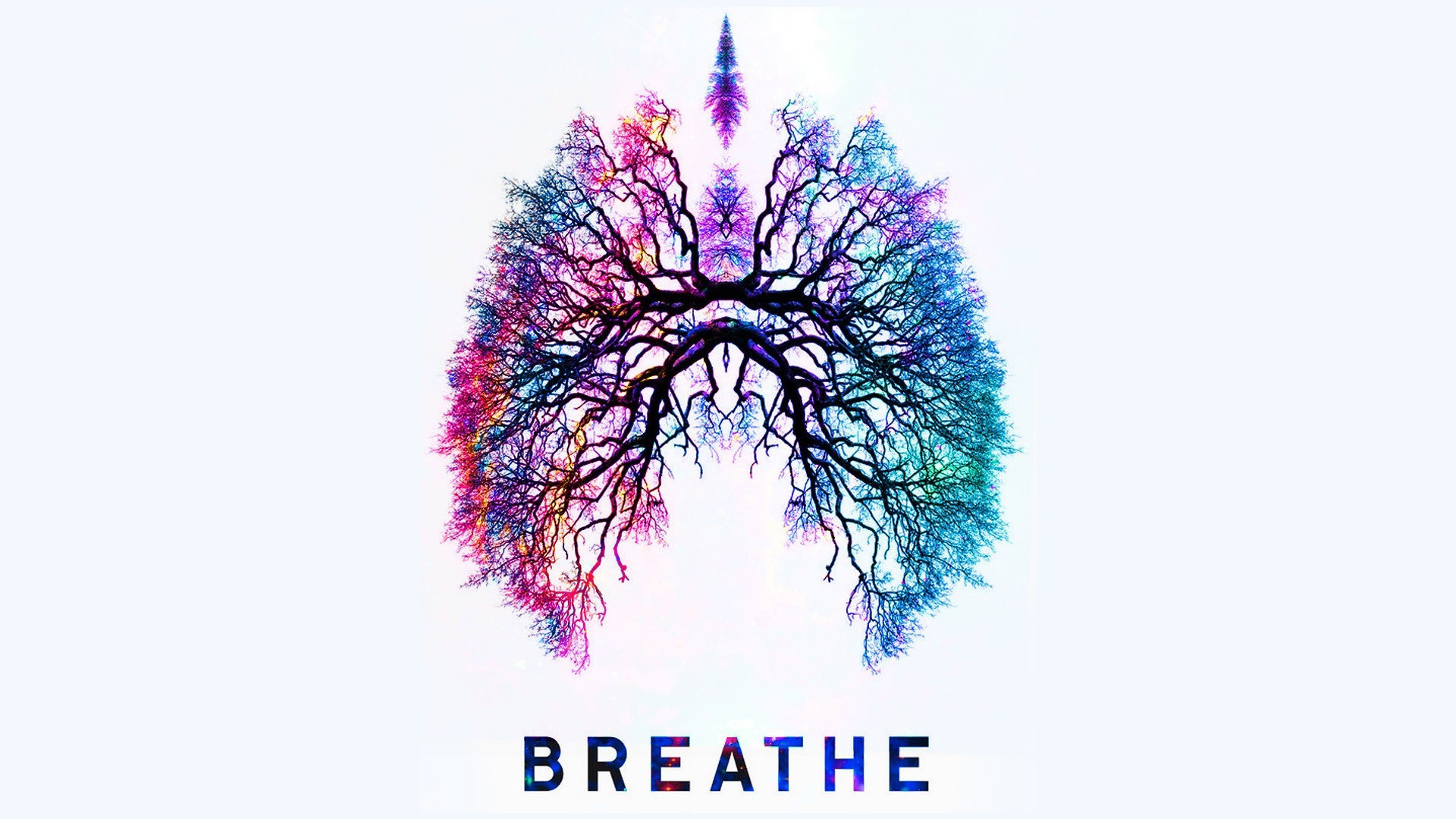 Holistic Health, Building Your Immune System and the Power of Breath with the Founder of Soma Breath